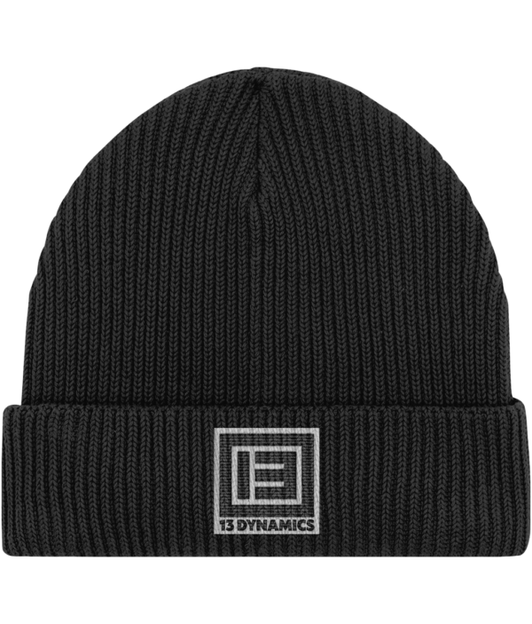 13D Beanie