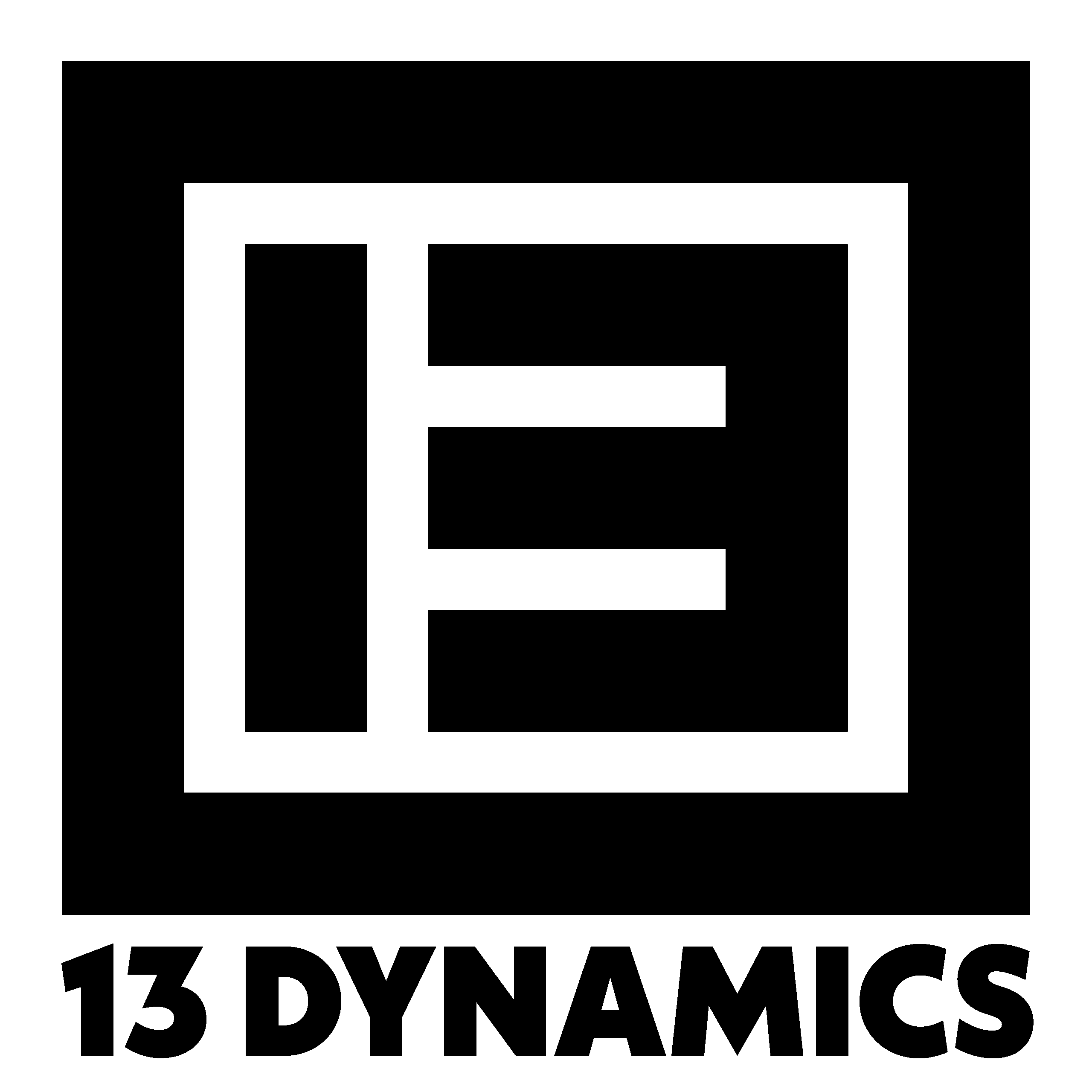 13 DYNAMICS TAI CHI CHUAN