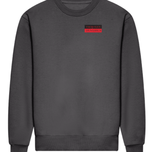 THIRTEEN DYNAMICS sweatshirt