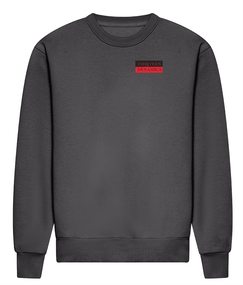 THIRTEEN DYNAMICS sweatshirt