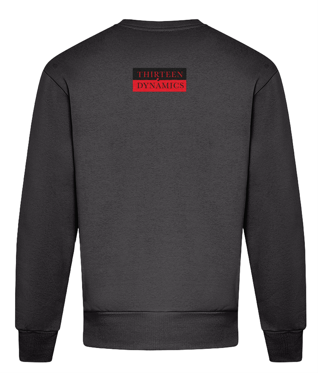 THIRTEEN DYNAMICS sweatshirt - Image 2