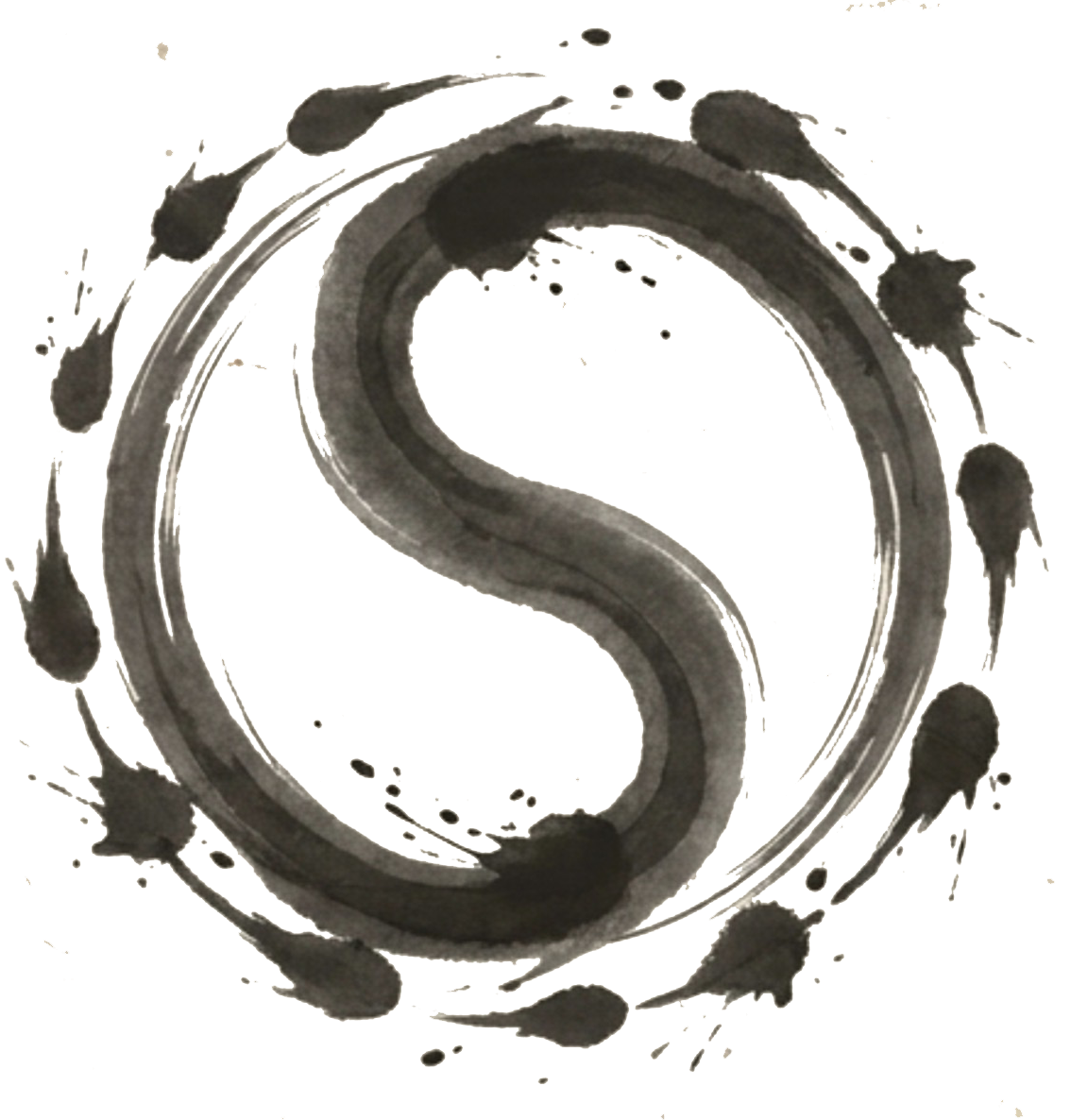 Thirteen Dynamics Tai Chi institute 