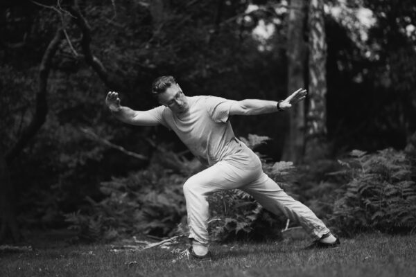 The Tai Chi Neigong course